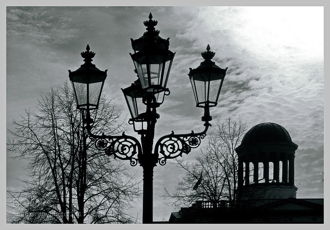 Canon POWERSHOT S5 IS sample photo. Scherenschnitt photography