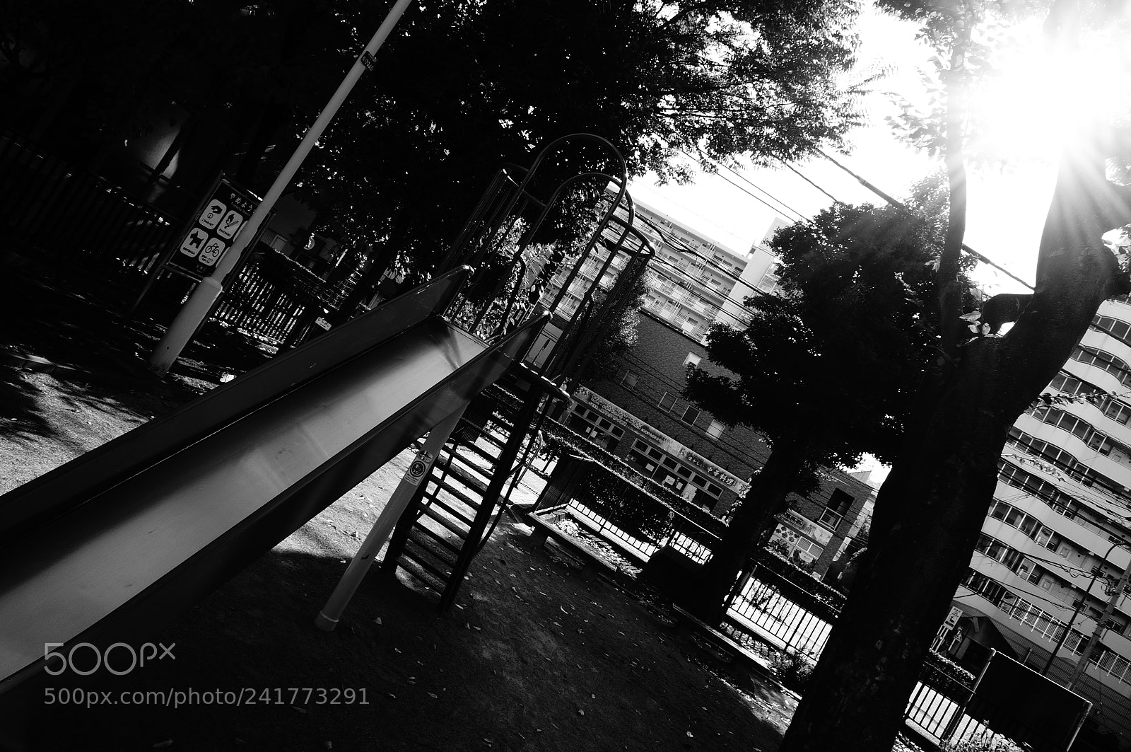 Sony Alpha NEX-5T sample photo. Park photography