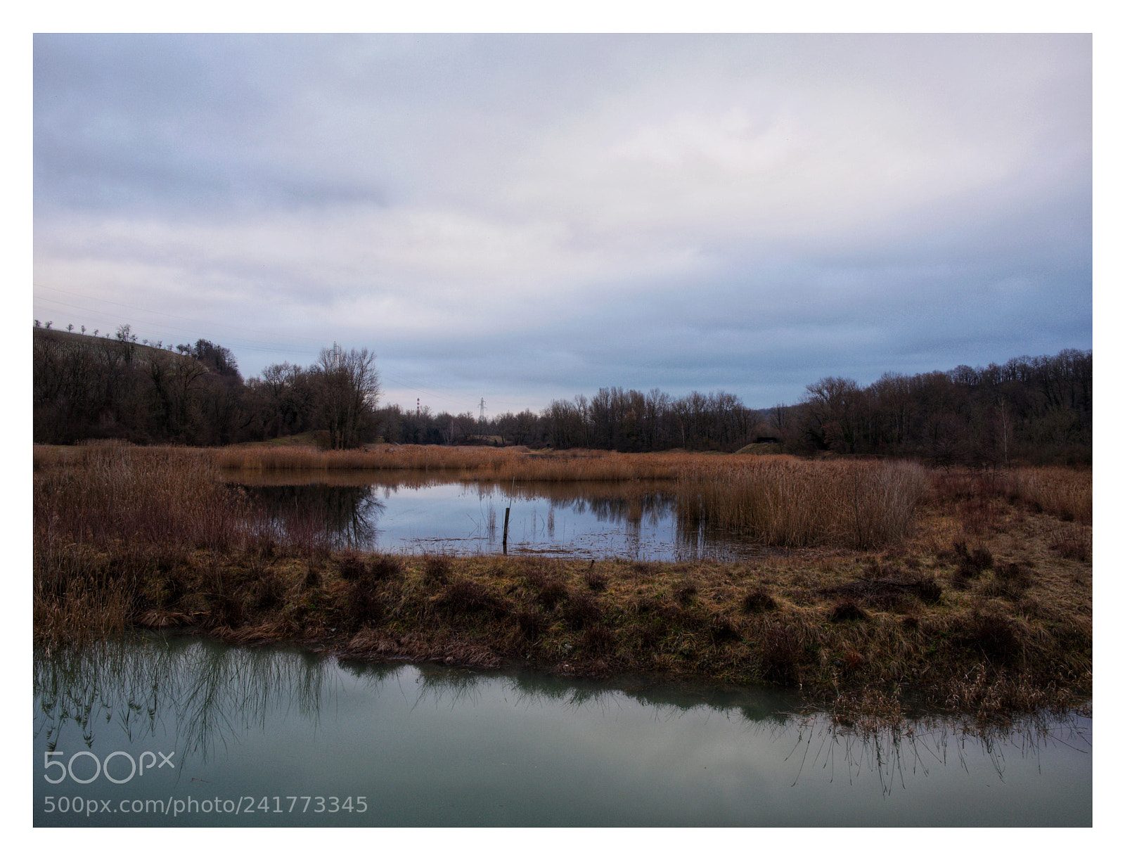 Panasonic Lumix DMC-GX8 sample photo. Teppes of verbois photography