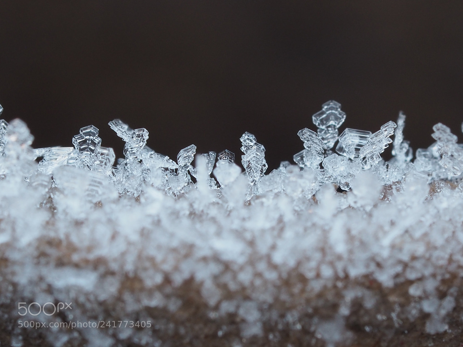 Olympus OM-D E-M5 II sample photo. Ice photography