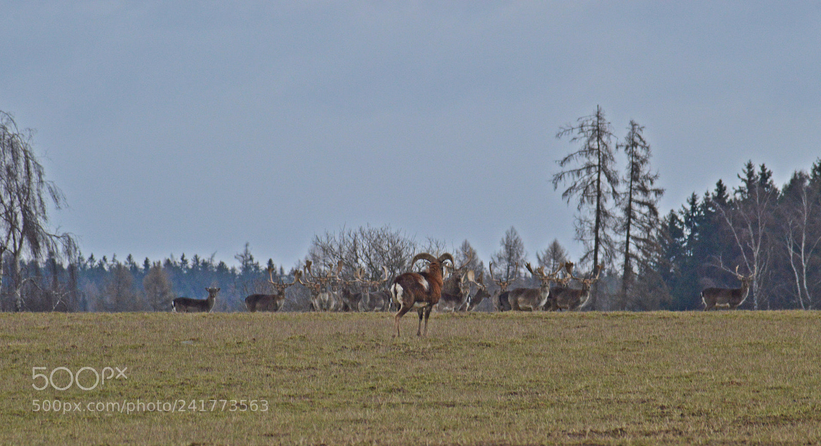 Nikon D3200 sample photo. Untitled photography
