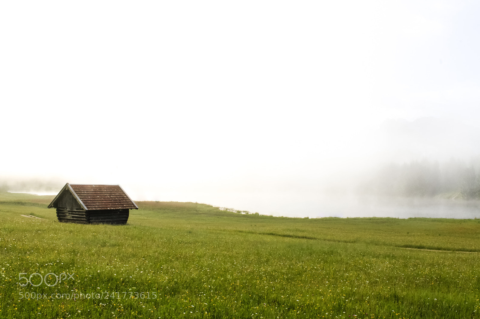 Canon EOS 1100D (EOS Rebel T3 / EOS Kiss X50) sample photo. Meadow. lake. house. fog photography