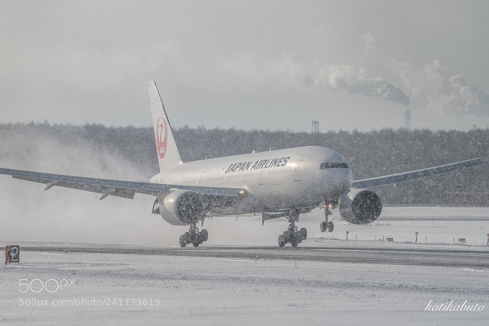 Sony a9 sample photo. Landing in the snowfall photography