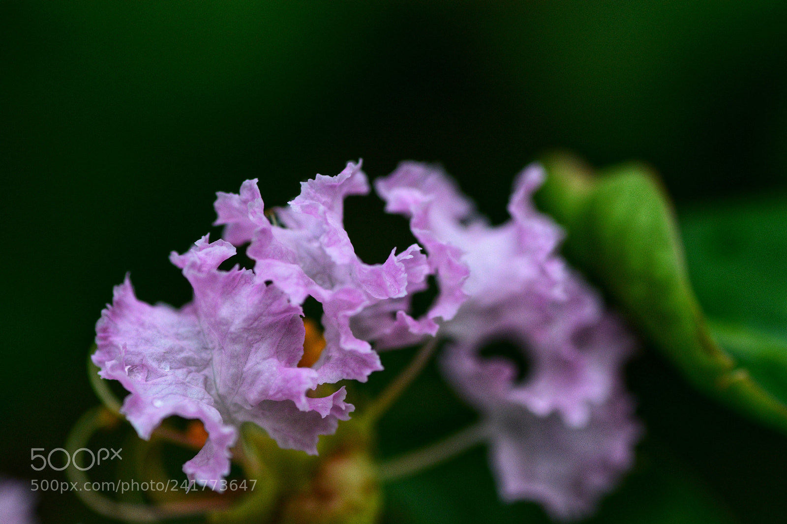 Nikon D7100 sample photo. Untitled photography