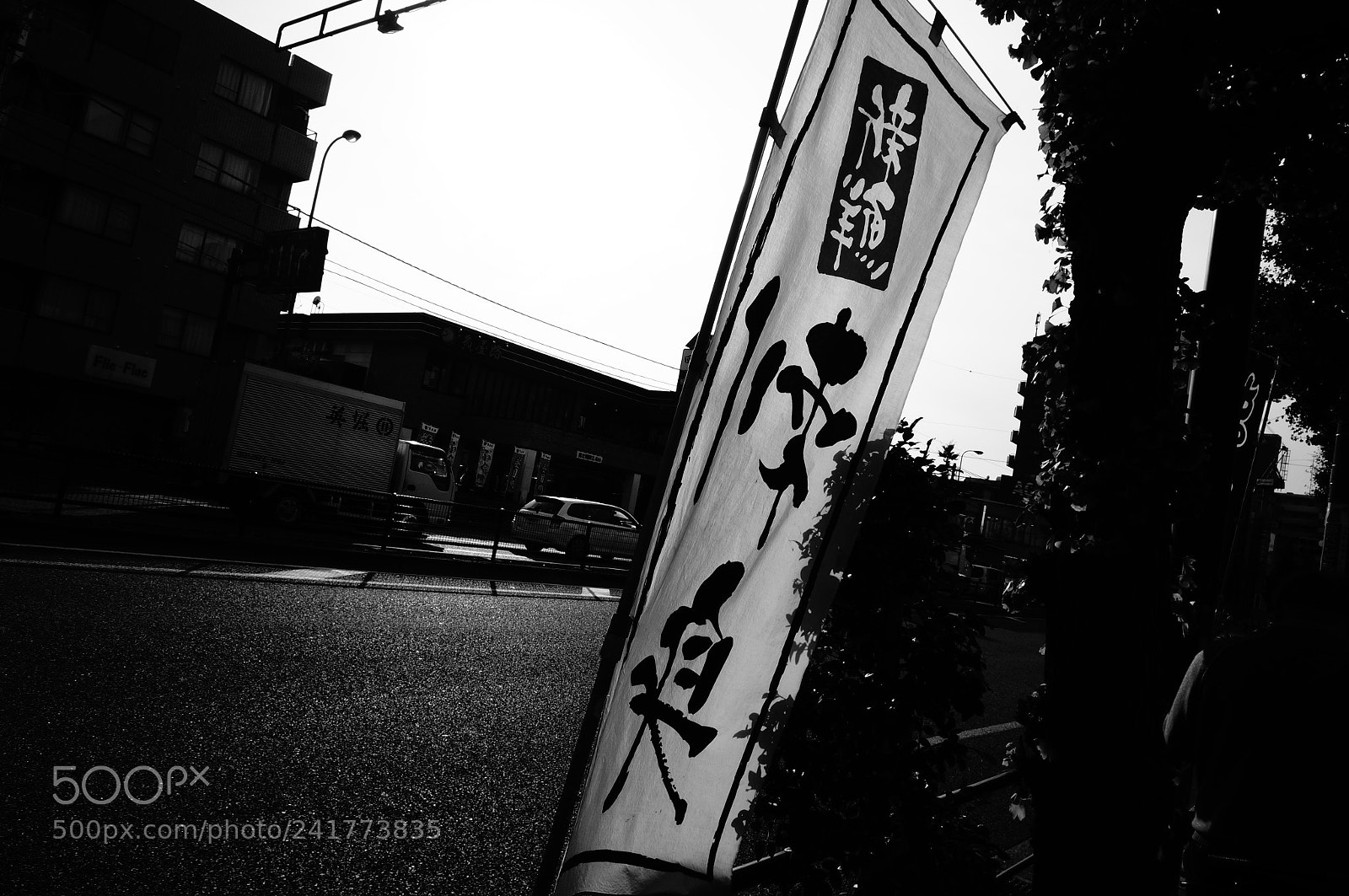 Sony Alpha NEX-5T sample photo. Noren photography