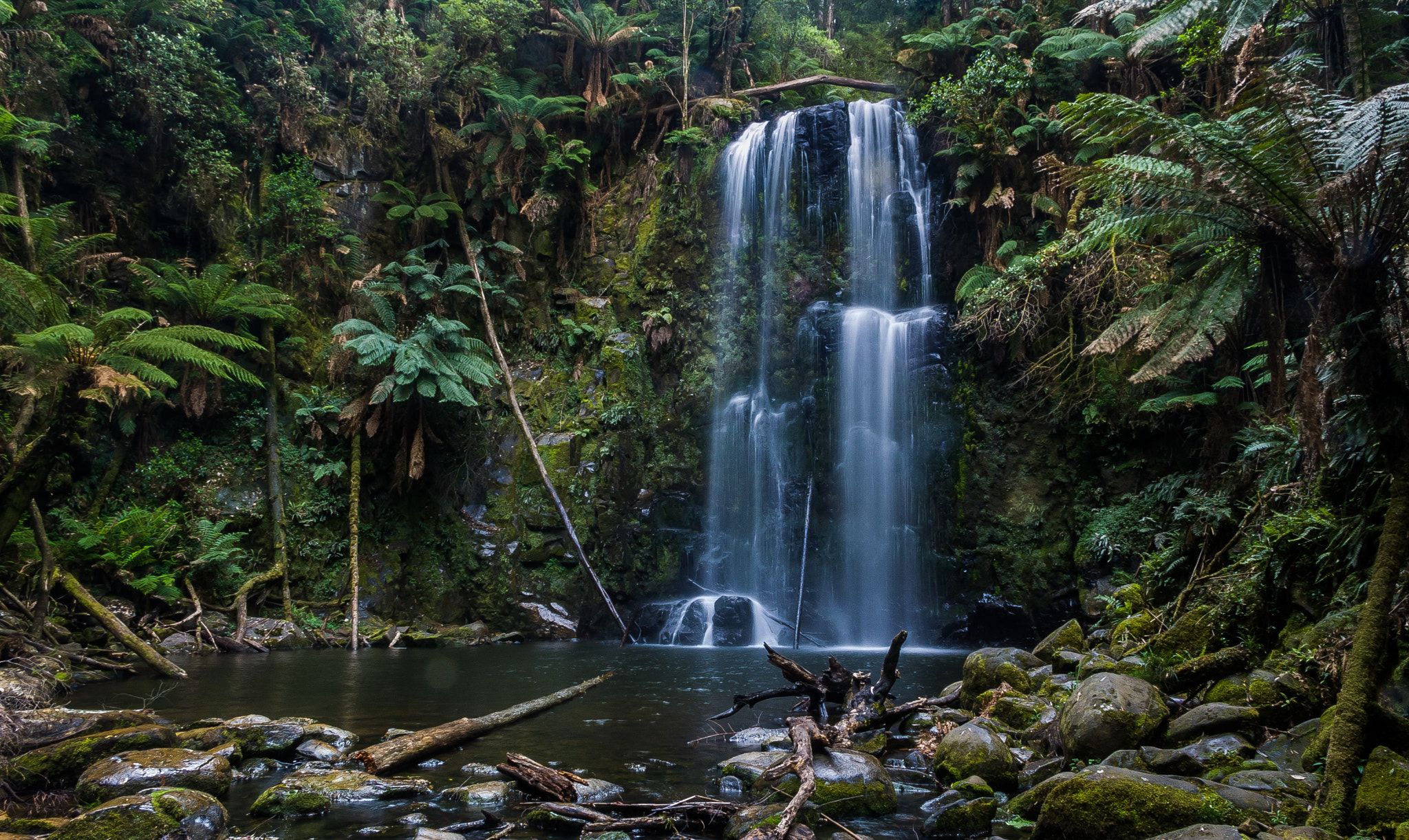 Pentax *ist DS sample photo. Beauchamp falls recall photography