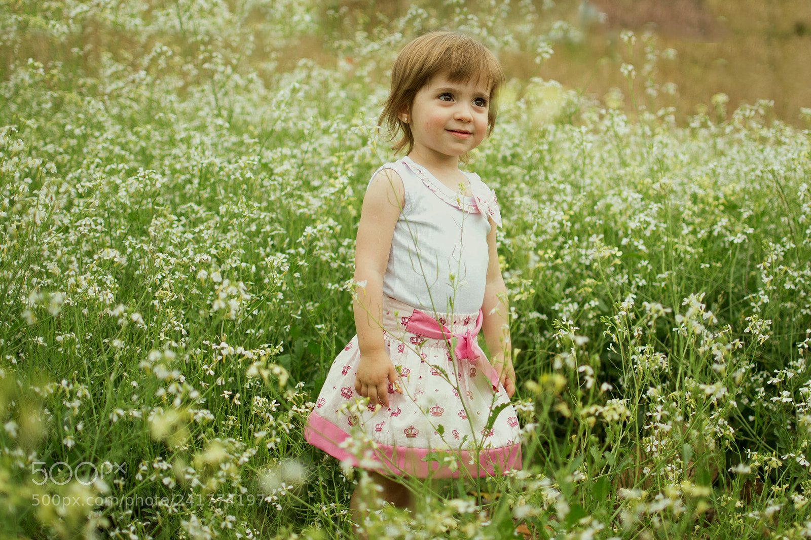 Nikon D3100 sample photo. Alice photography