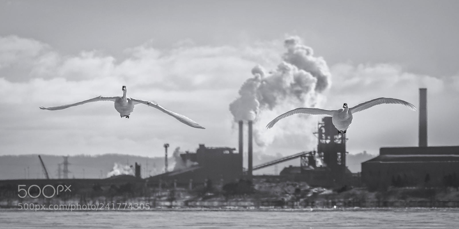 Nikon D810 sample photo. Winter on burlington bay photography