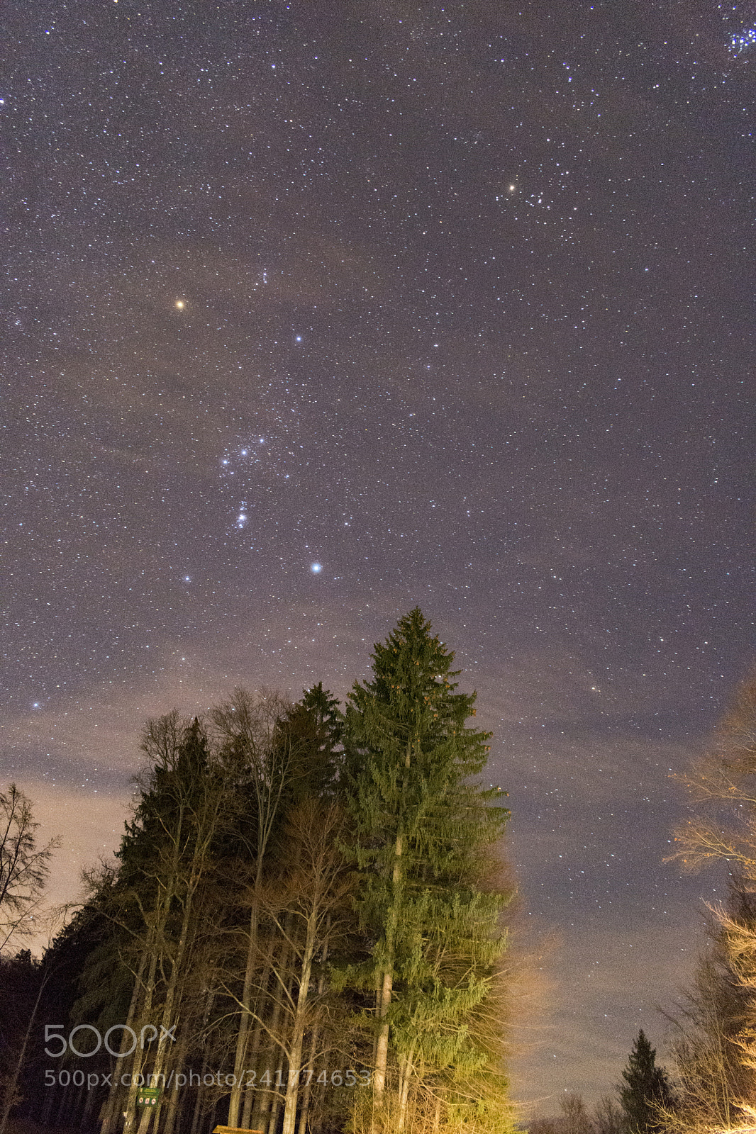 Nikon D7200 sample photo. Into the night ! photography