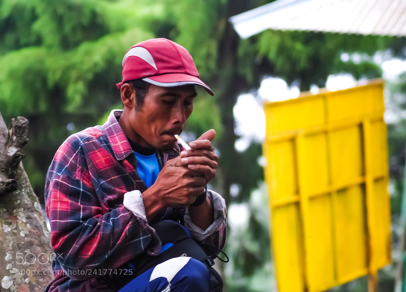 Nikon D3000 sample photo. Mr slow photography