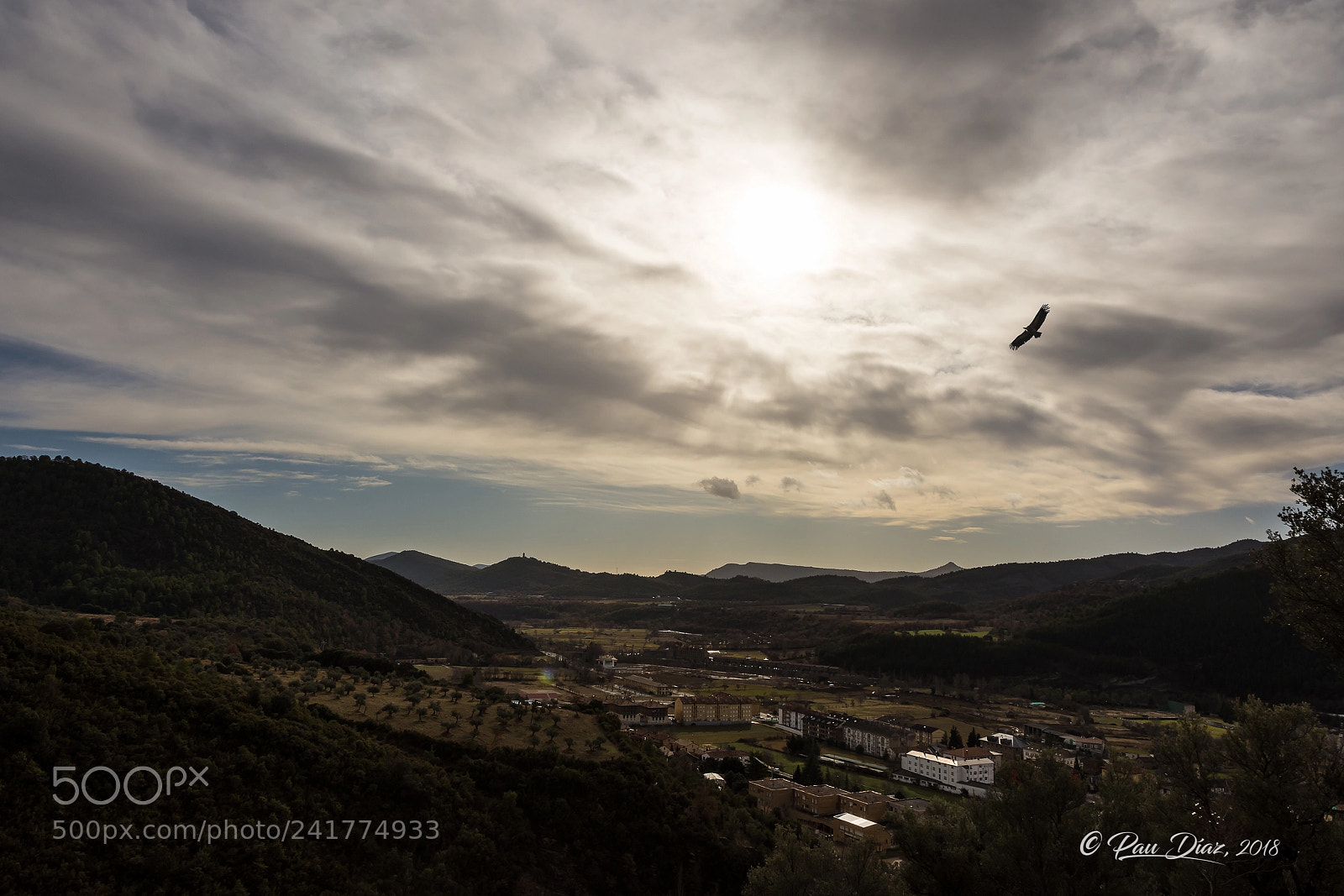 Nikon D7200 sample photo. Quebrantahuesos sobre boltaña photography