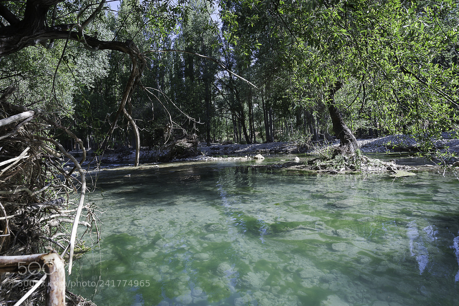 Nikon D700 sample photo. Peralta photography