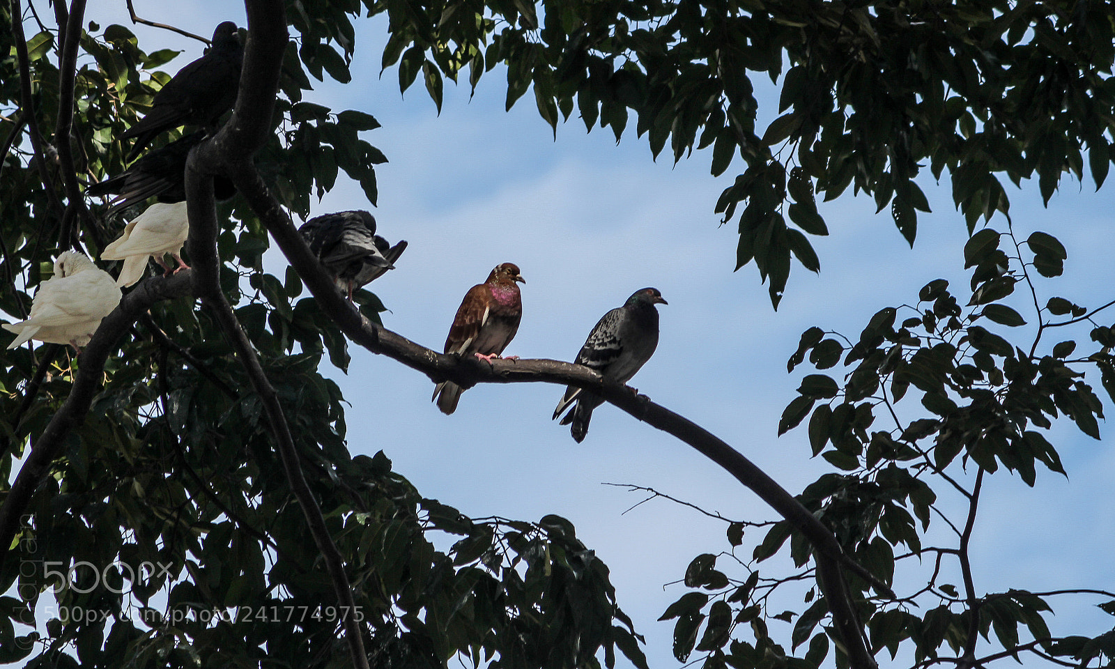 Canon EOS 550D (EOS Rebel T2i / EOS Kiss X4) sample photo. Take a rest :) photography