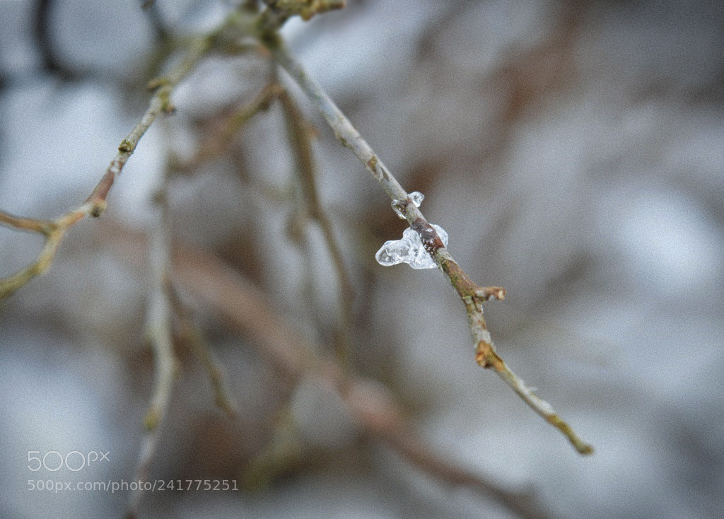 Nikon D3200 sample photo. *** photography