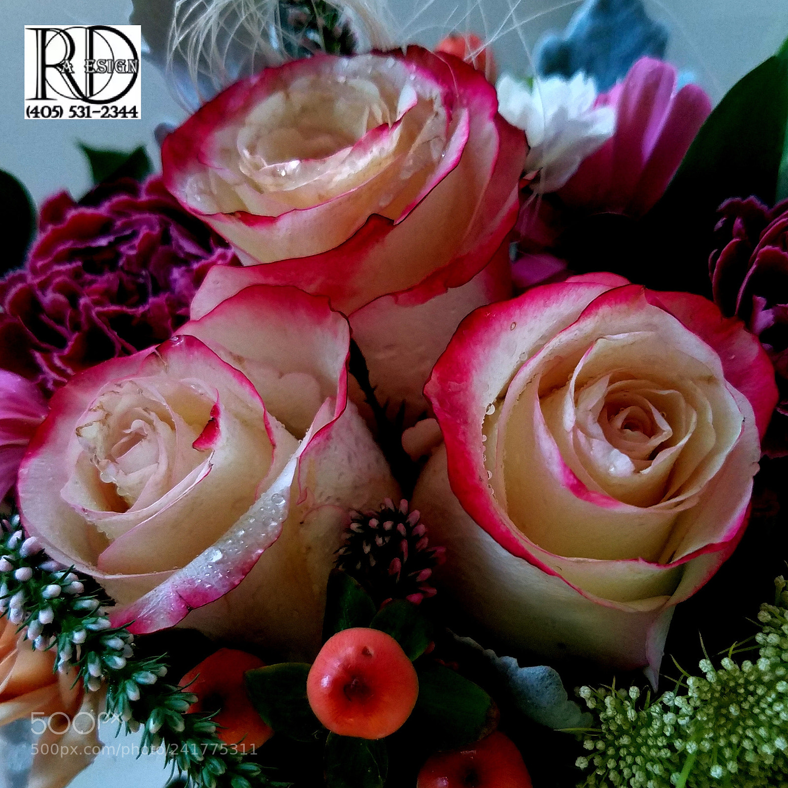 Samsung Galaxy S7 Edge sample photo. Three roses photography