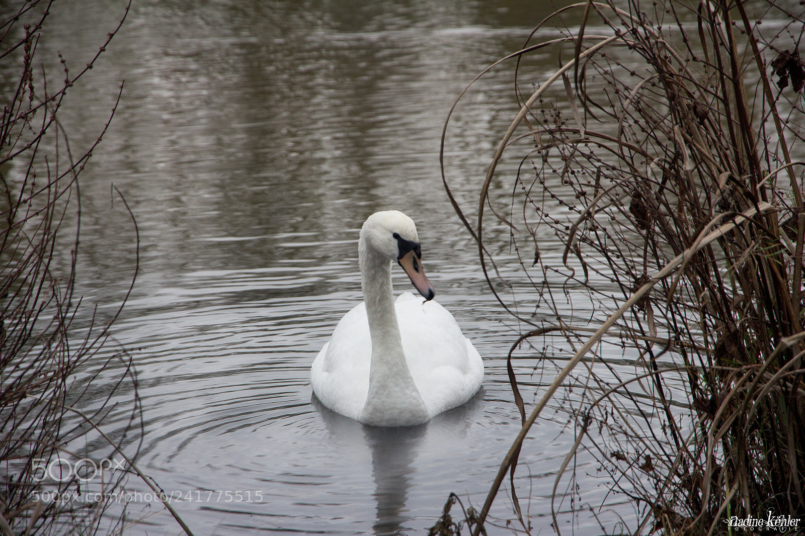 Canon EOS 60D sample photo. Beauty photography