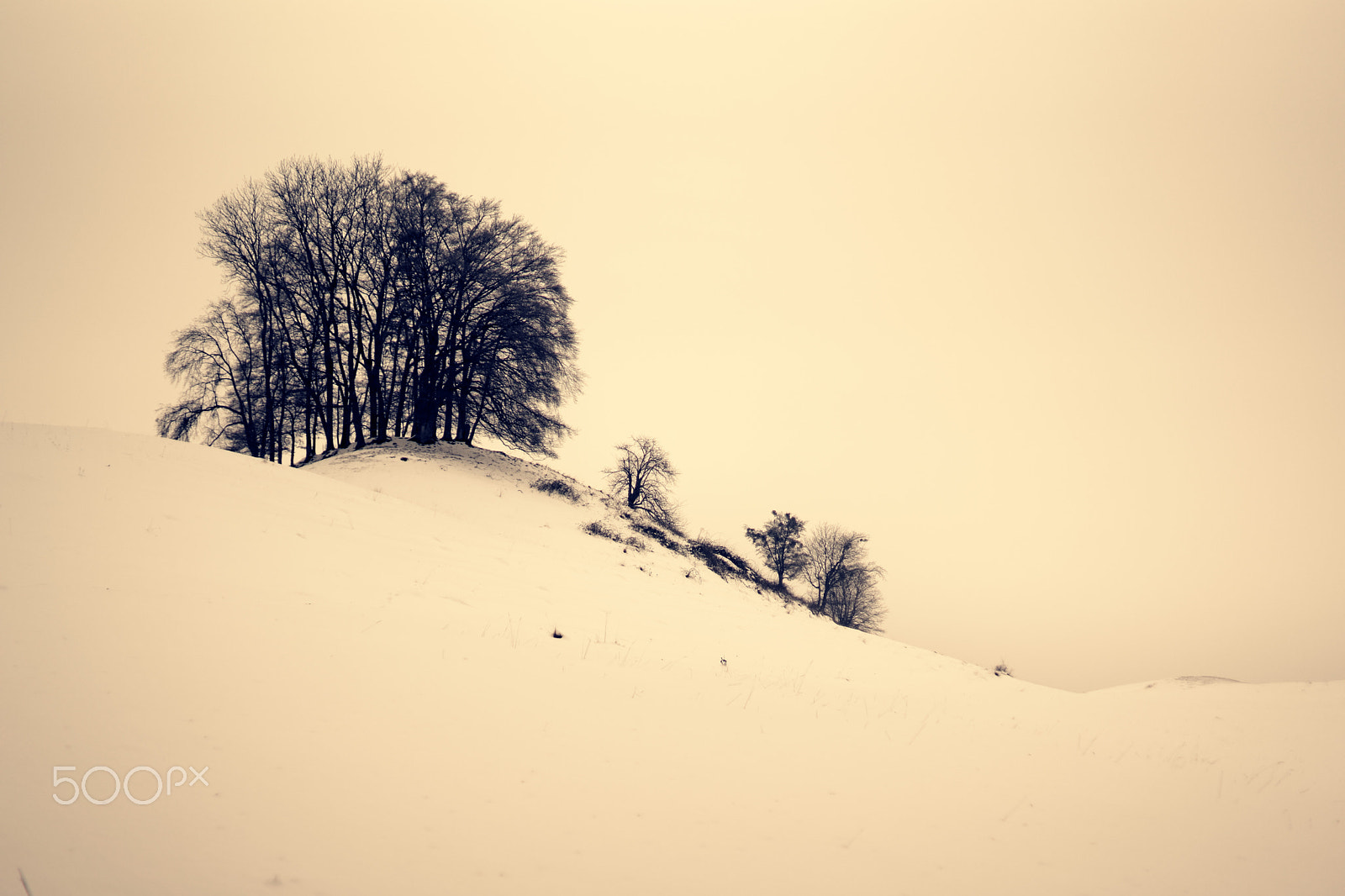 Sony a99 II + Sony 35mm F1.4 G sample photo. Mont chesau, 2017-01-20, #1, color photography