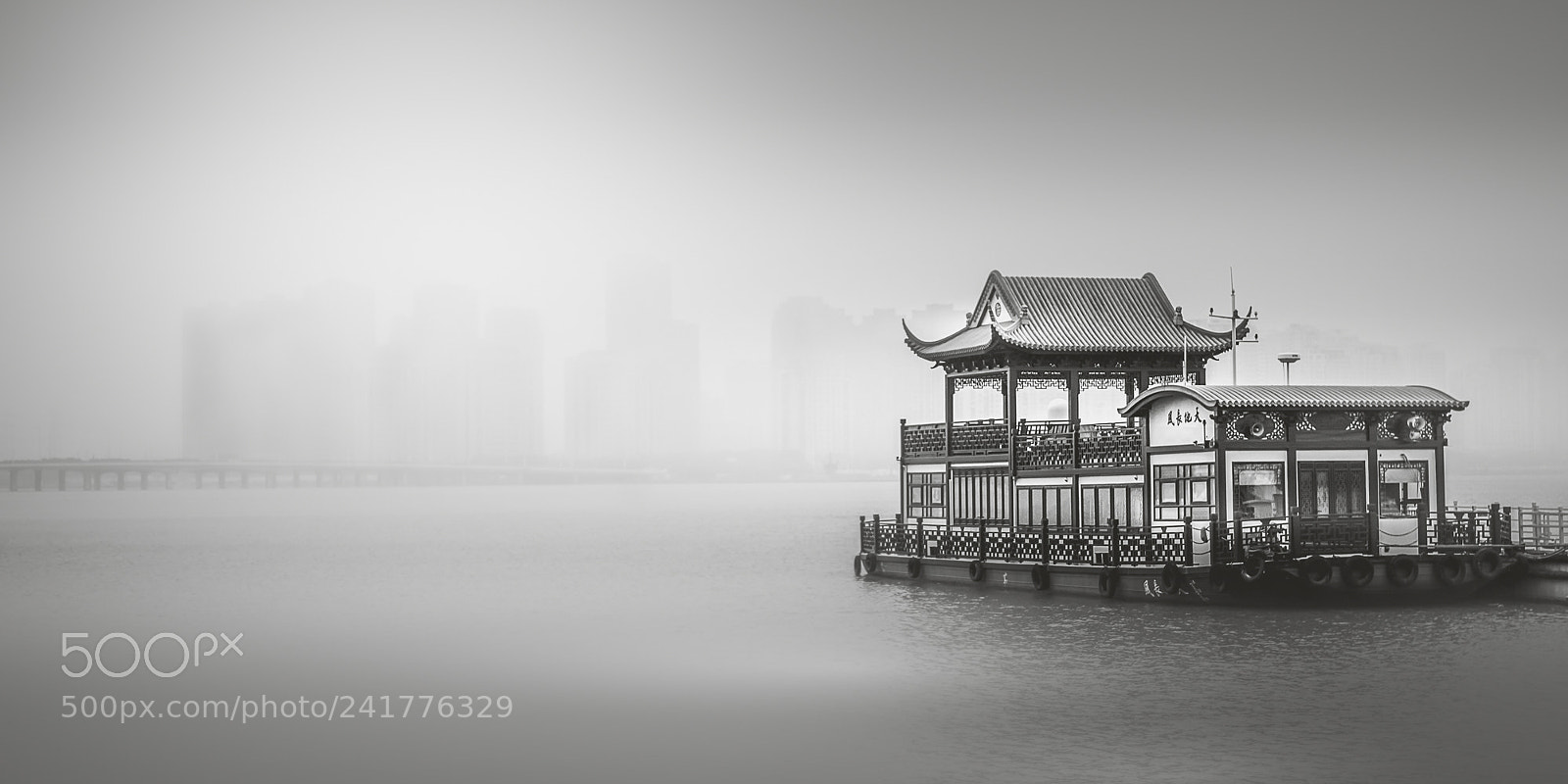 Nikon D810 sample photo. In the fog photography