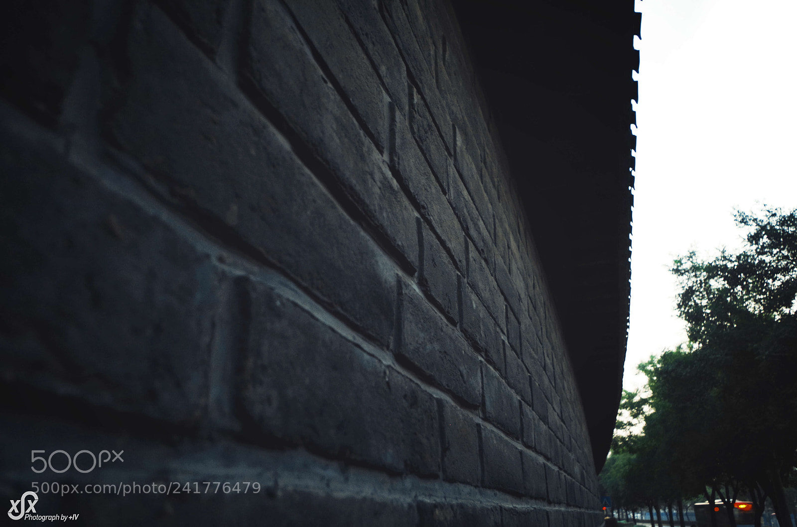 Pentax K-30 sample photo. Untitled photography