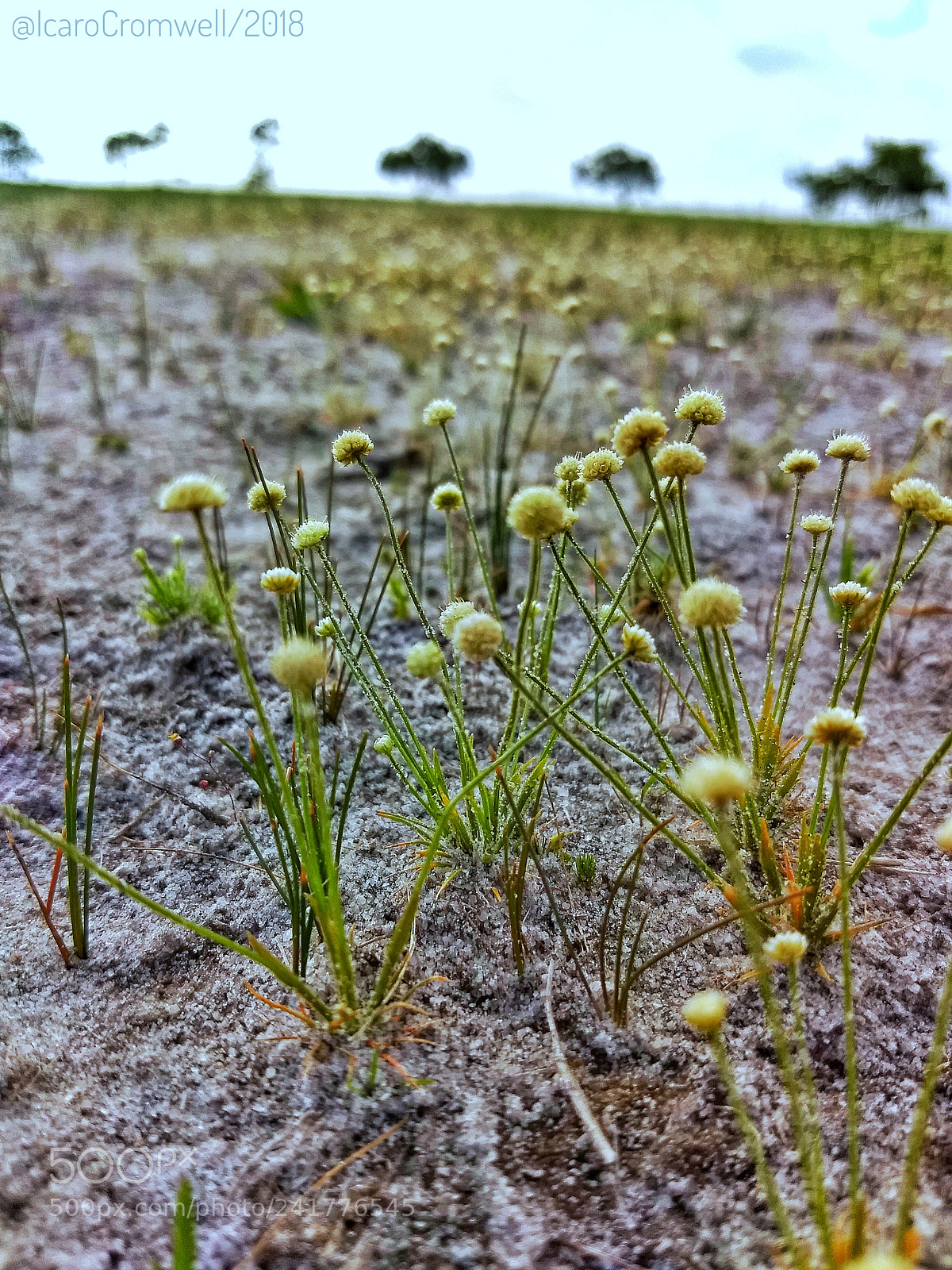 Motorola Moto Z (2) Play sample photo. Untitled photography