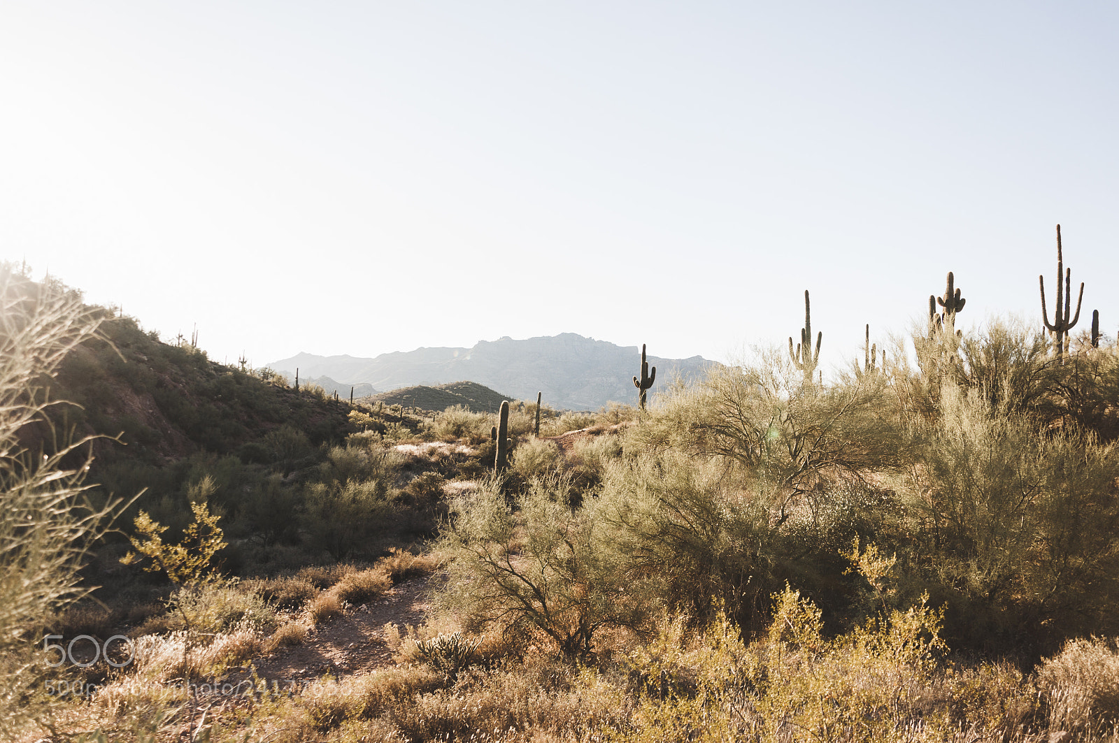 Nikon D90 sample photo. Sunrise desert photography