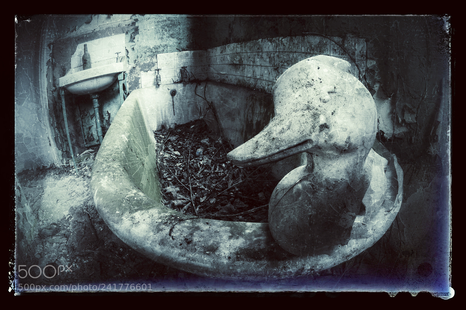 Nikon D300 sample photo. Bathtime © clive haynes photography
