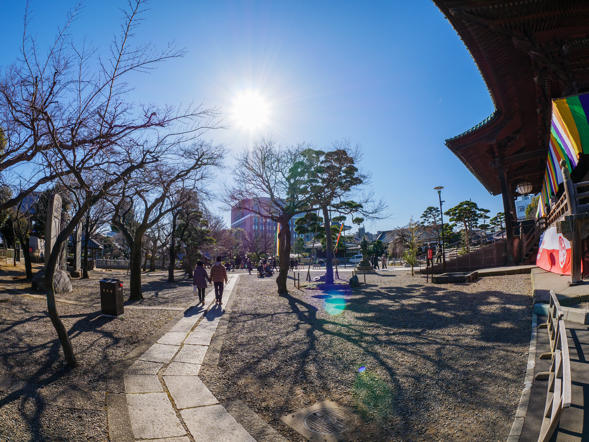 Panasonic Lumix DMC-GX85 (Lumix DMC-GX80 / Lumix DMC-GX7 Mark II) sample photo. Gokokuji temple photography