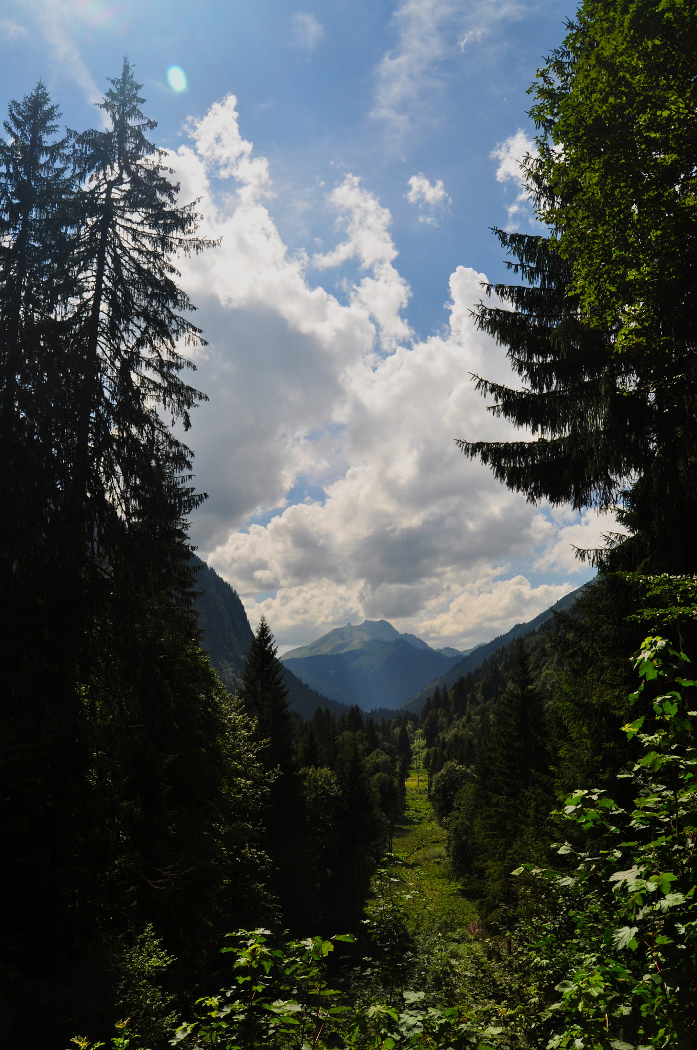 Nikon D5000 sample photo. The mountain behind the trees photography