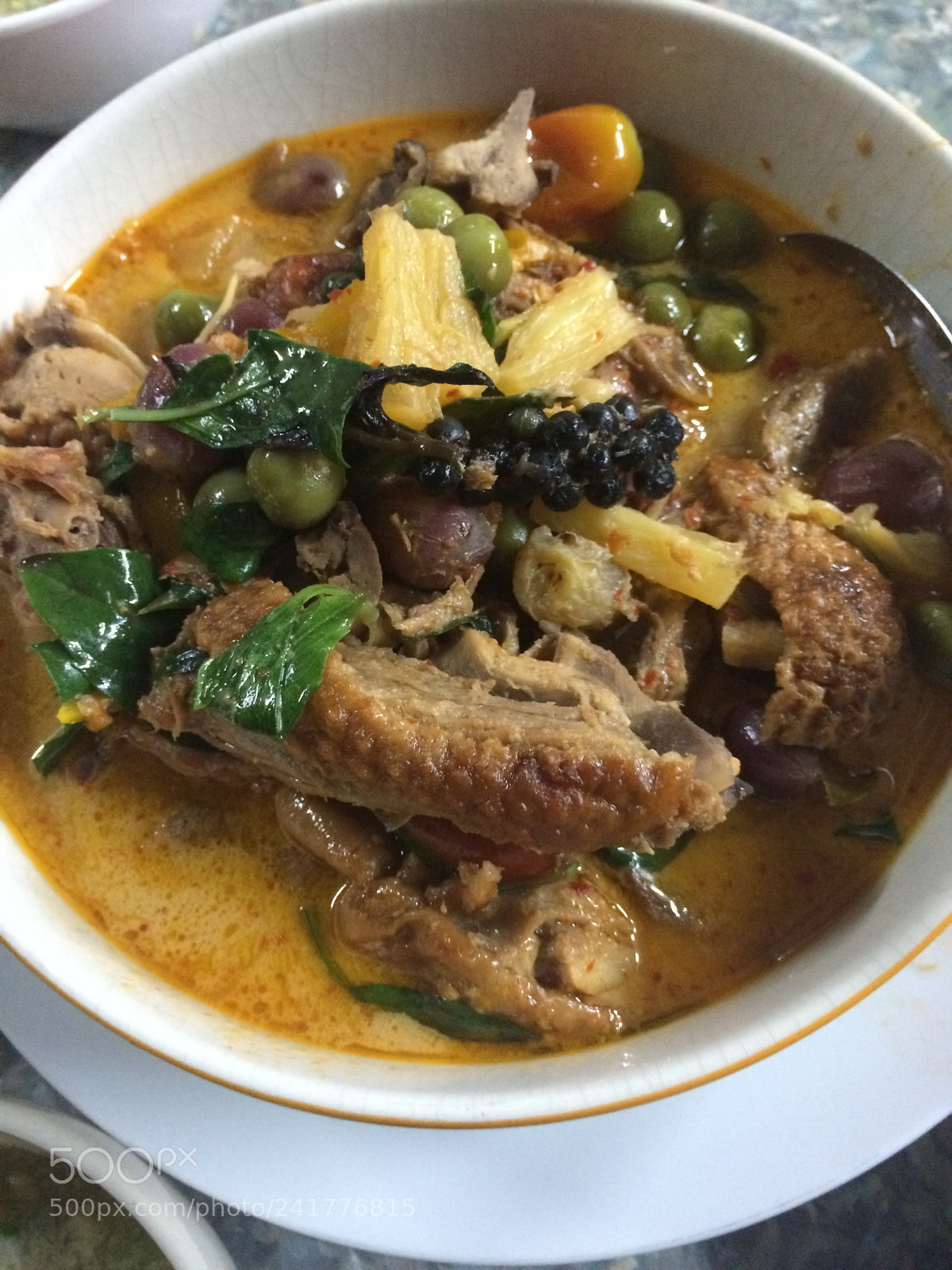 Apple iPhone 5s sample photo. Roasted duck curry photography