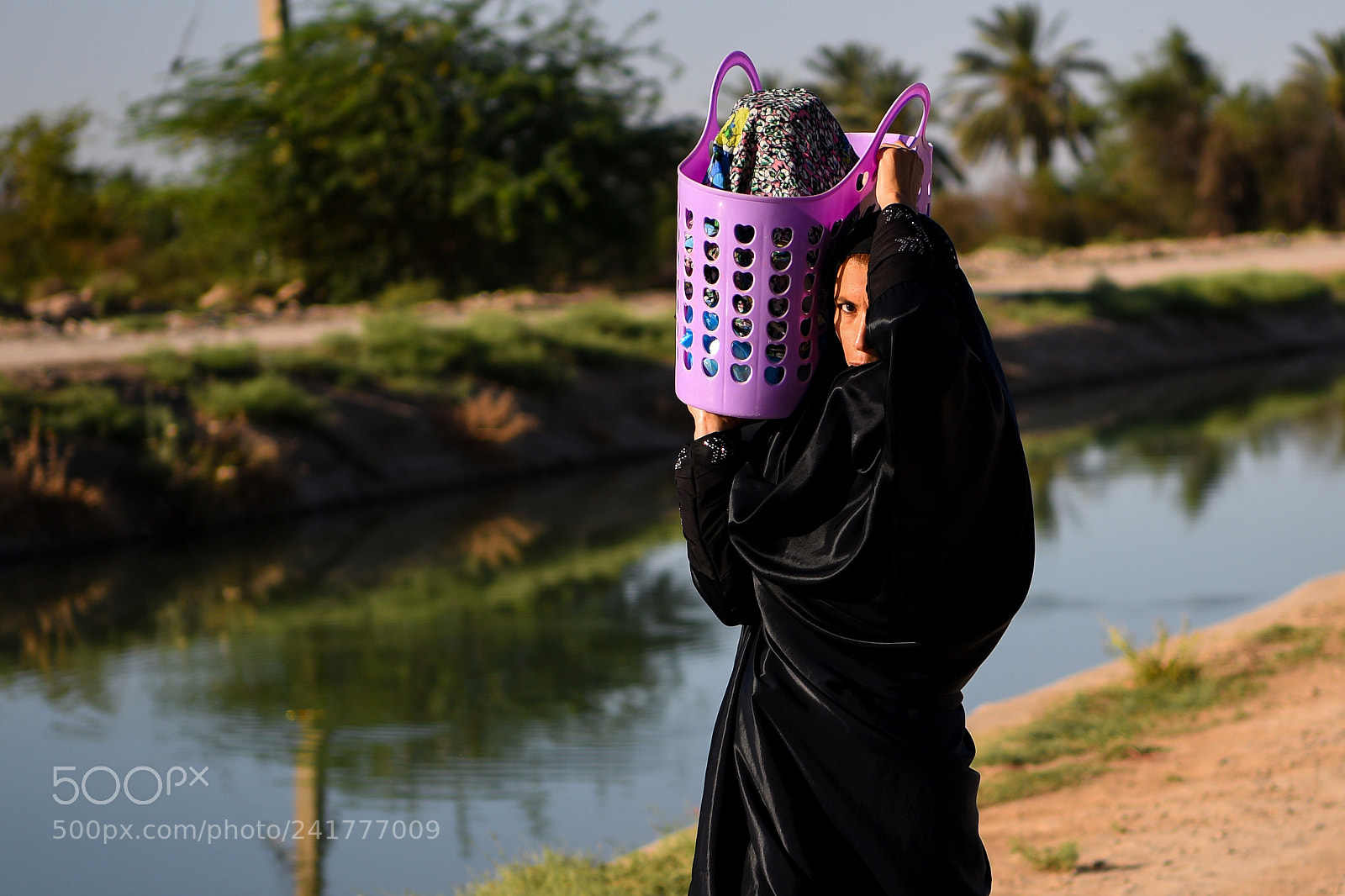 Nikon D810 sample photo. Iran,khozestan photography