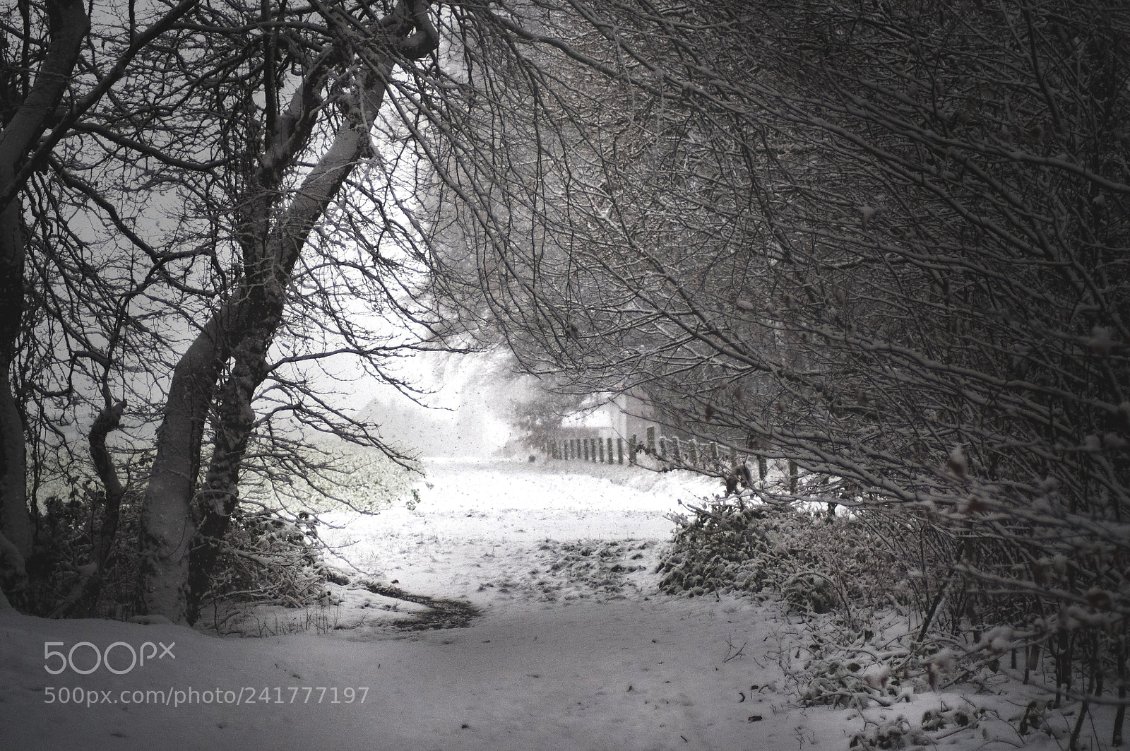 Nikon D5000 sample photo. Wintertime photography