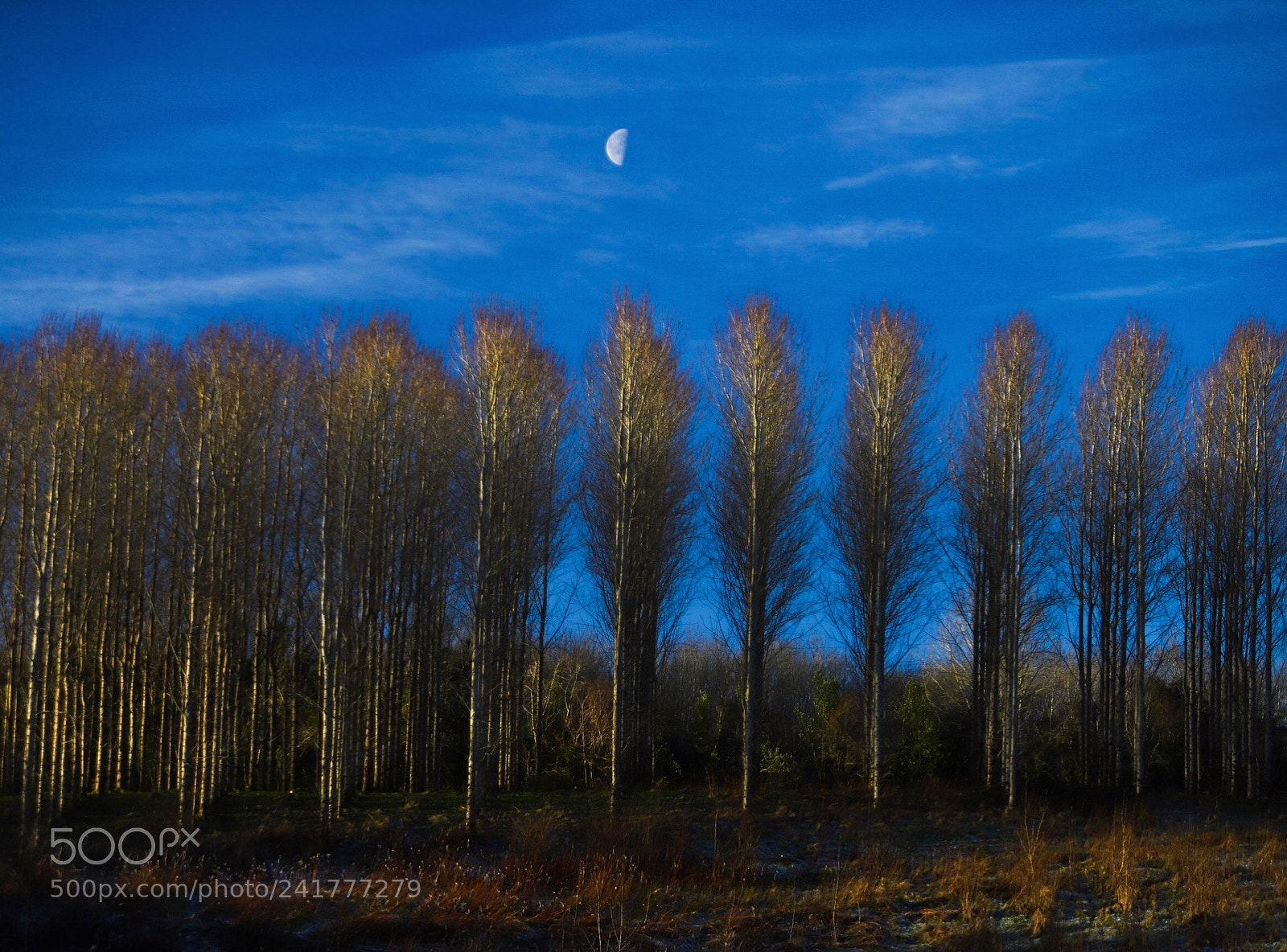Canon EOS 6D Mark II sample photo. Moon setting over killaloo photography