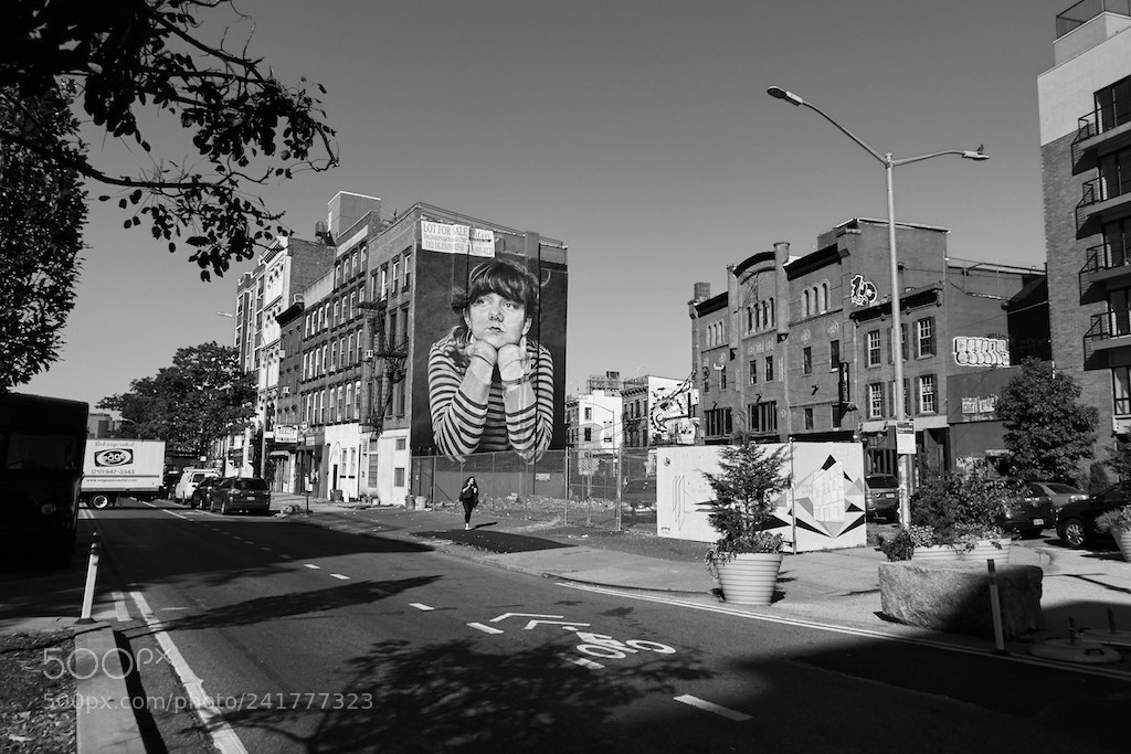 Sony Cyber-shot DSC-RX100 IV sample photo. Williamsburg photography