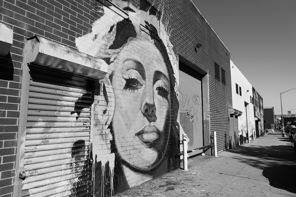 Sony Cyber-shot DSC-RX100 IV sample photo. Williamsburg photography