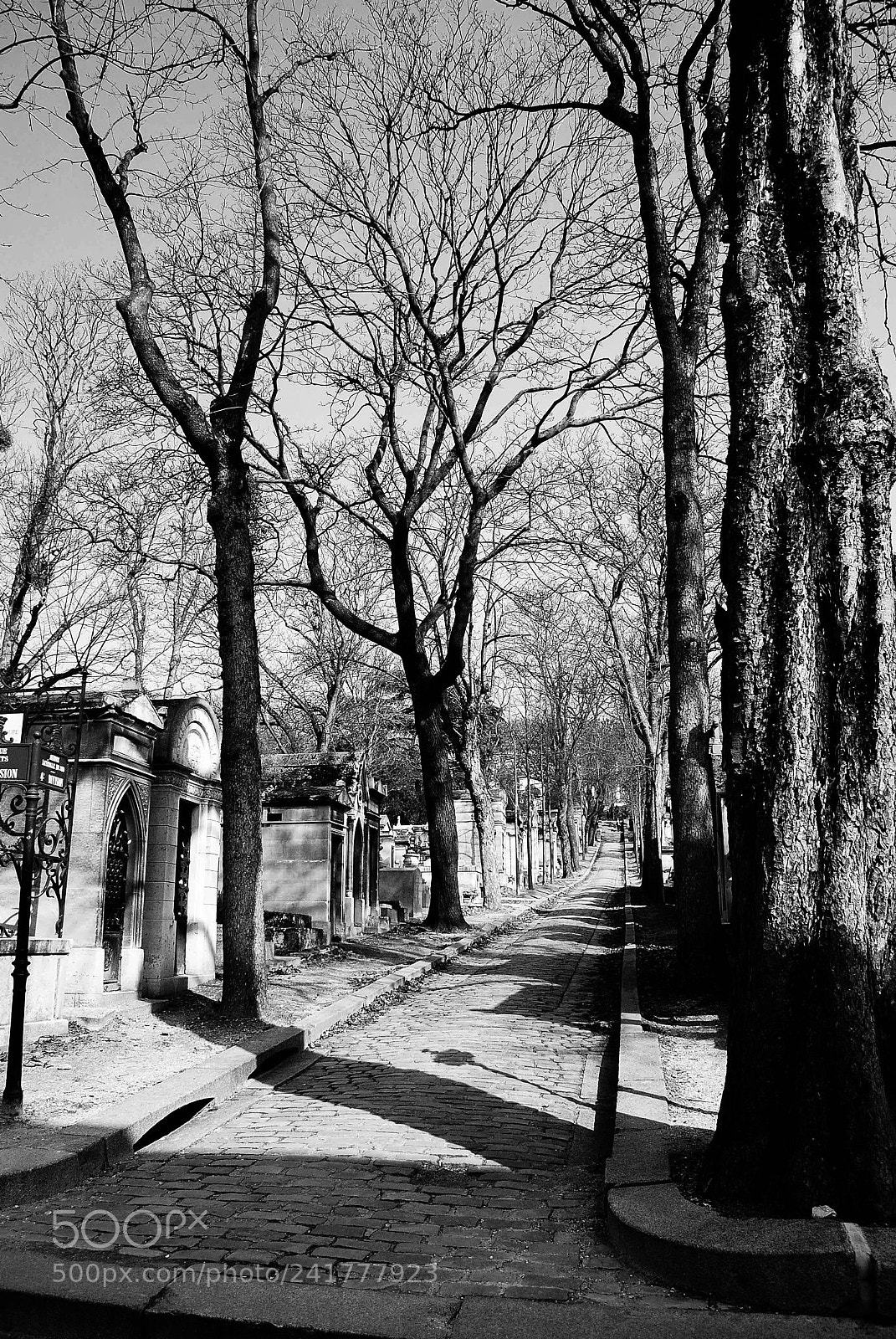 Nikon D3000 sample photo. Cemetery photography