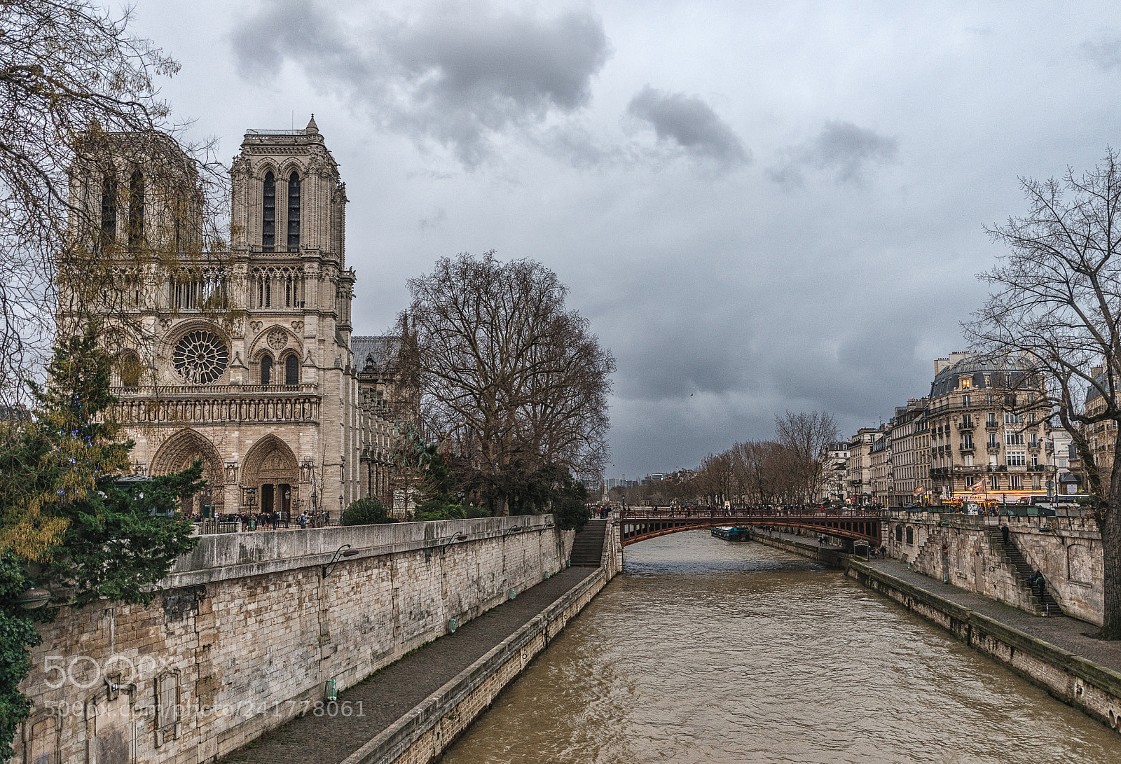 Nikon D800 sample photo. Winter in paris photography
