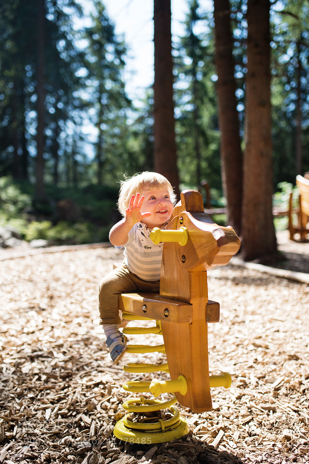 Nikon D4S sample photo. Cute little boy on photography