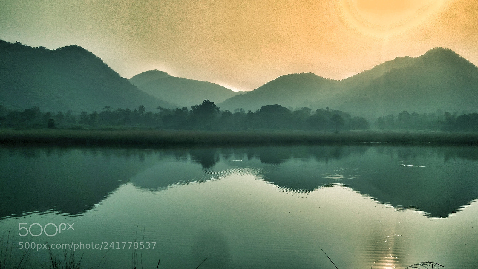 OPPO A37fw-International sample photo. Untitled photography