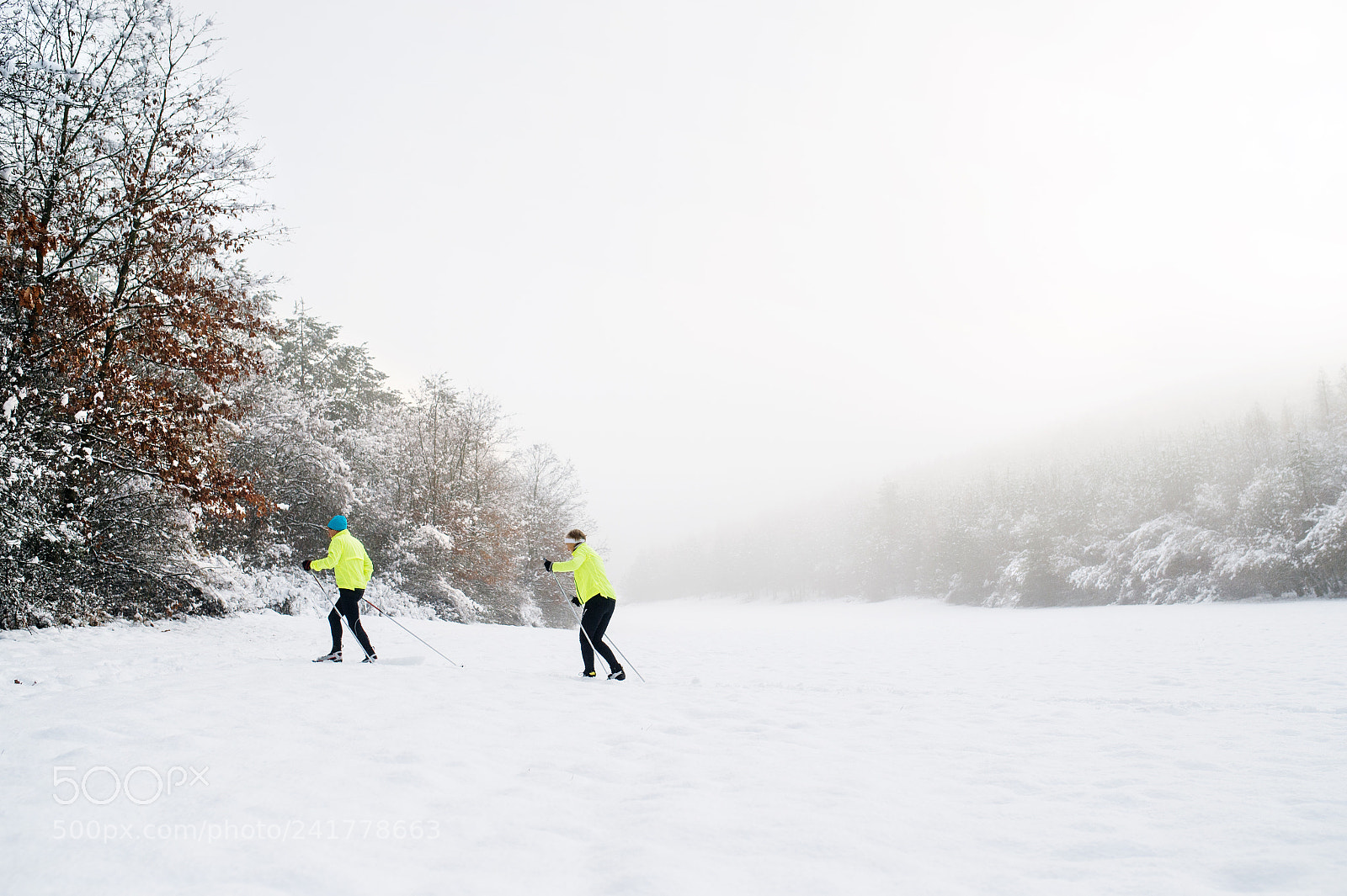 Nikon D4S sample photo. Senior couple cross-country skiing. photography