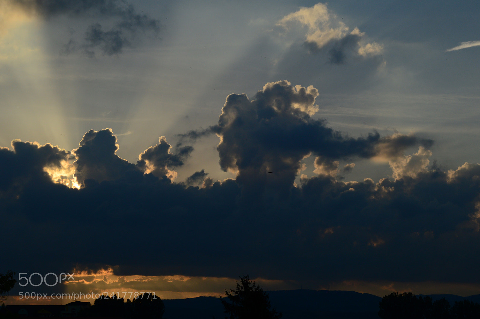Nikon D3200 sample photo. Angel photography