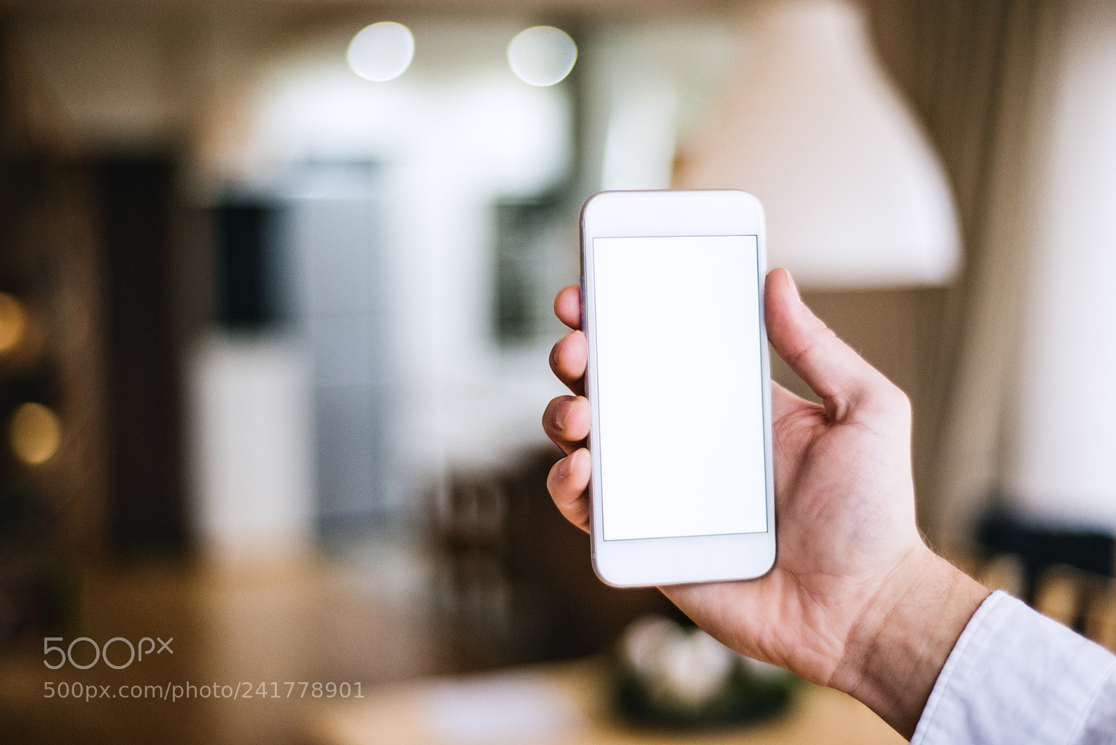 Nikon D800 sample photo. Mockup image of smartphone photography