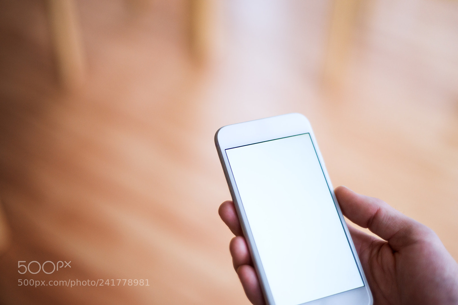 Nikon D800 sample photo. Mockup image of smartphone photography