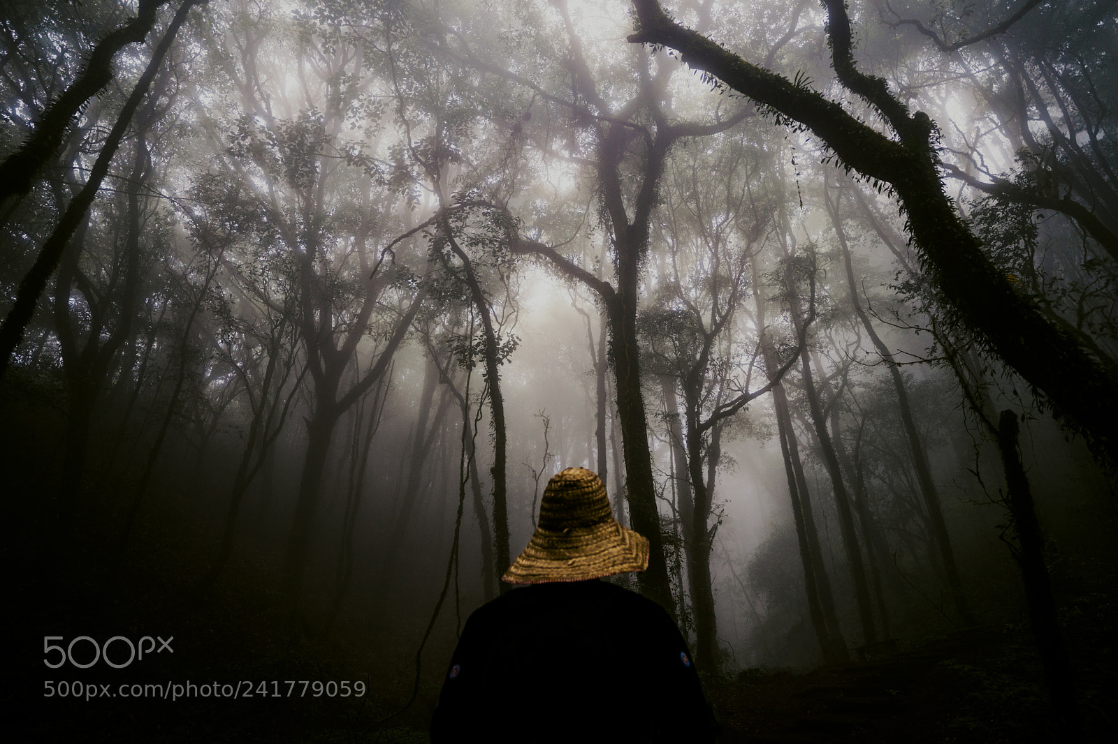 Sony a7 sample photo. Kaw mae pan photography