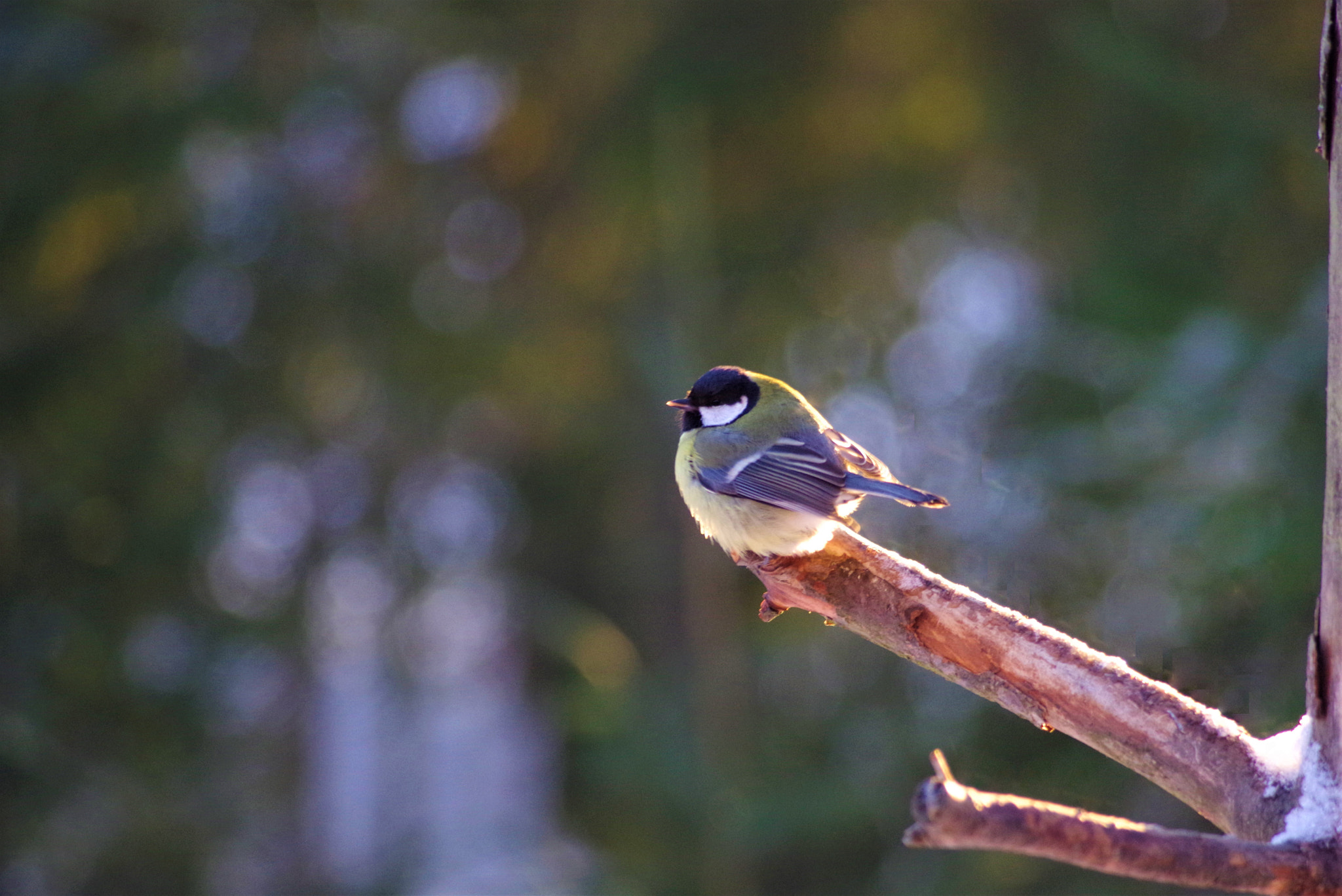 Pentax K-1 sample photo. Place in the sun photography