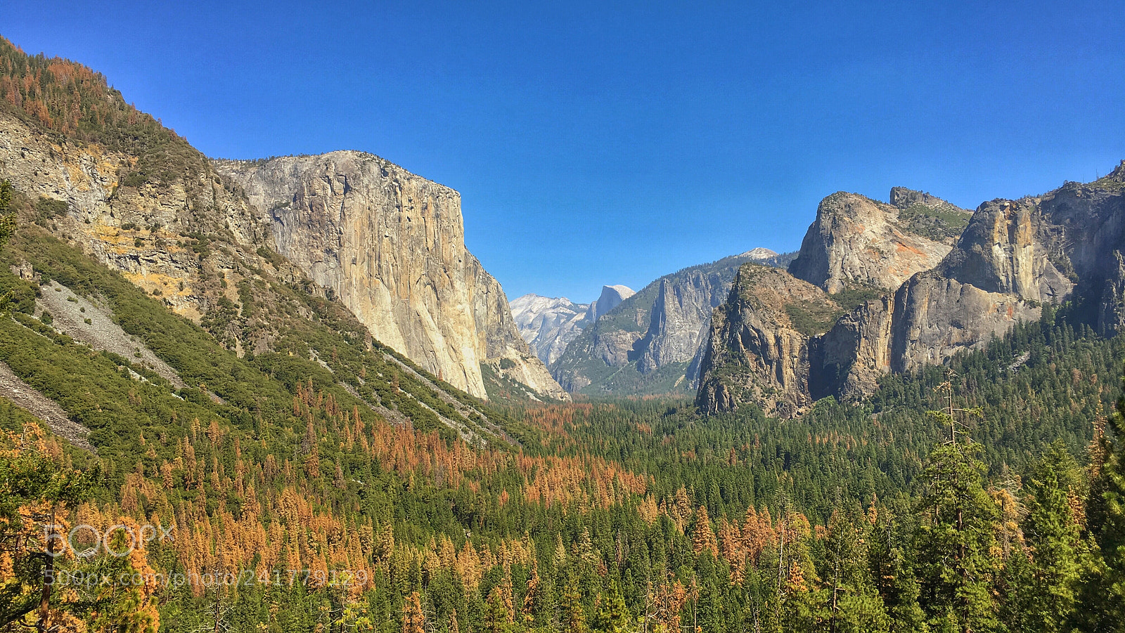 Apple iPhone 6s sample photo. Yosemite valley photography