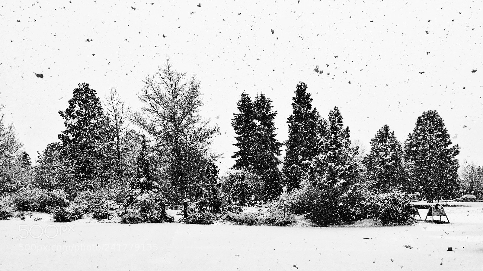Apple iPhone 6s sample photo. Snow day photography