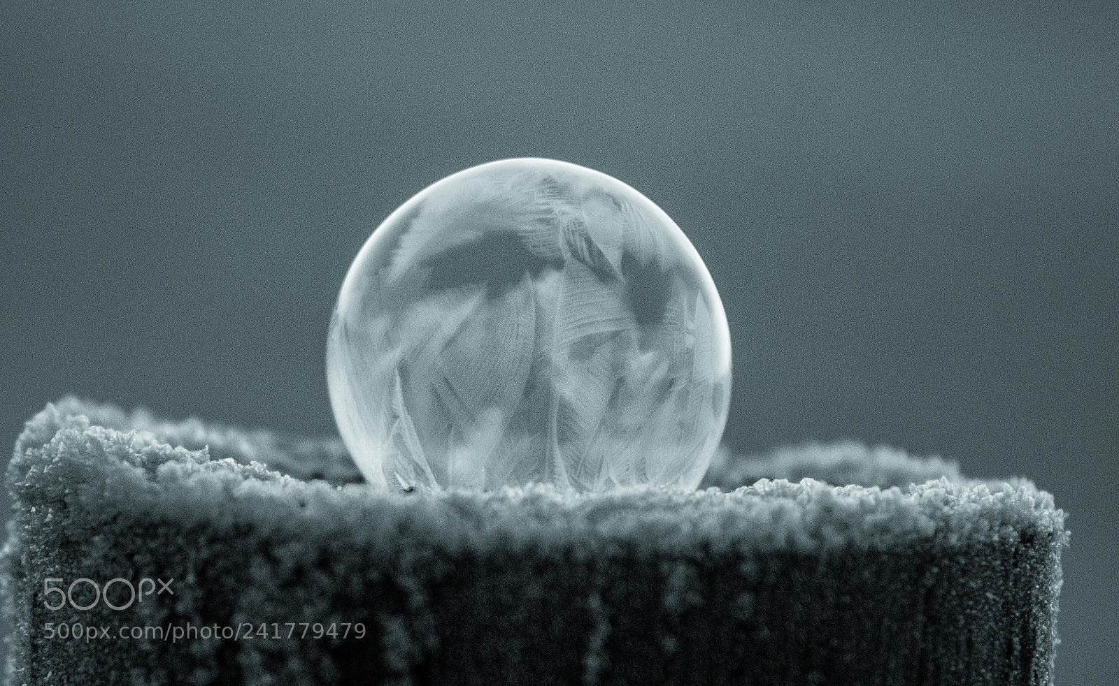 Nikon D7200 sample photo. Frozen bubble photography