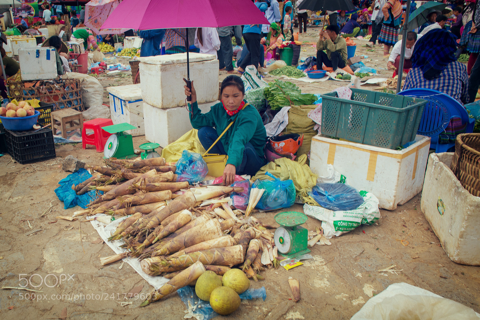 Nikon D600 sample photo. Root vegetables photography