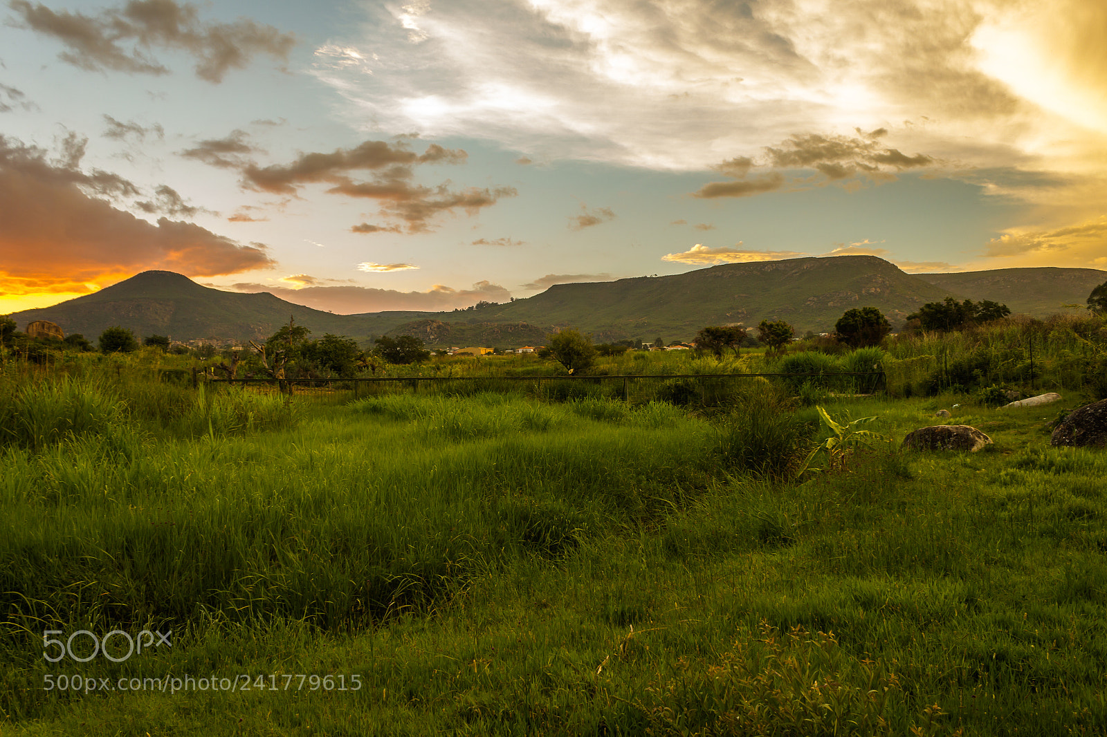 Canon EOS 550D (EOS Rebel T2i / EOS Kiss X4) sample photo. Jungle sunset lubango photography
