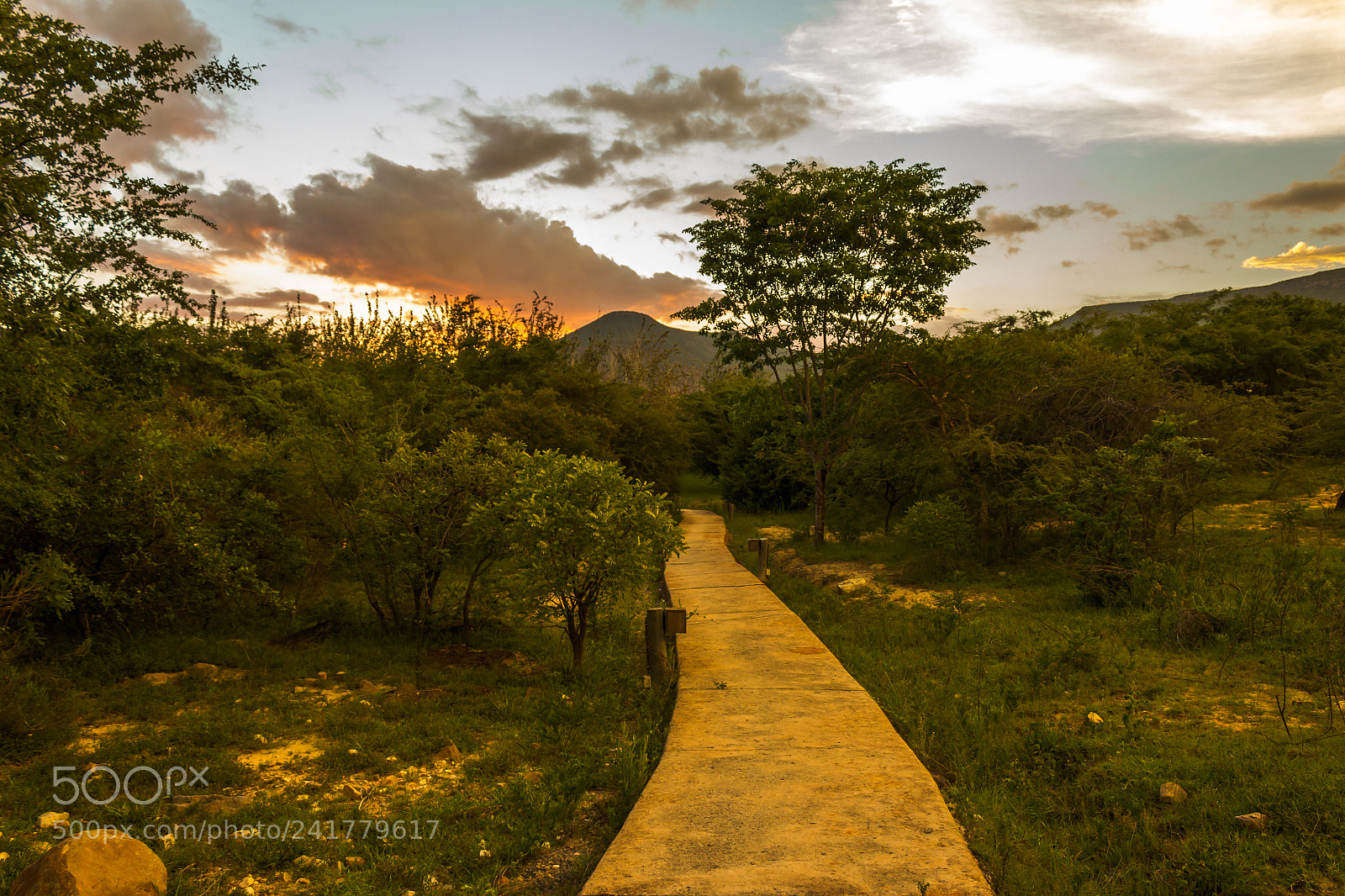 Canon EOS 550D (EOS Rebel T2i / EOS Kiss X4) sample photo. Jungle sunset lubango photography